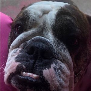 Meet your Posher, Calvin